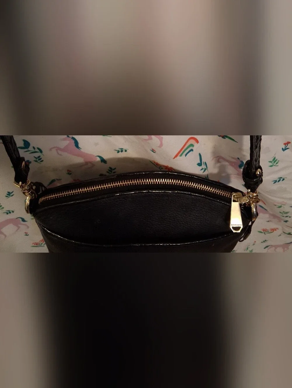 Brahmin discontinued limited